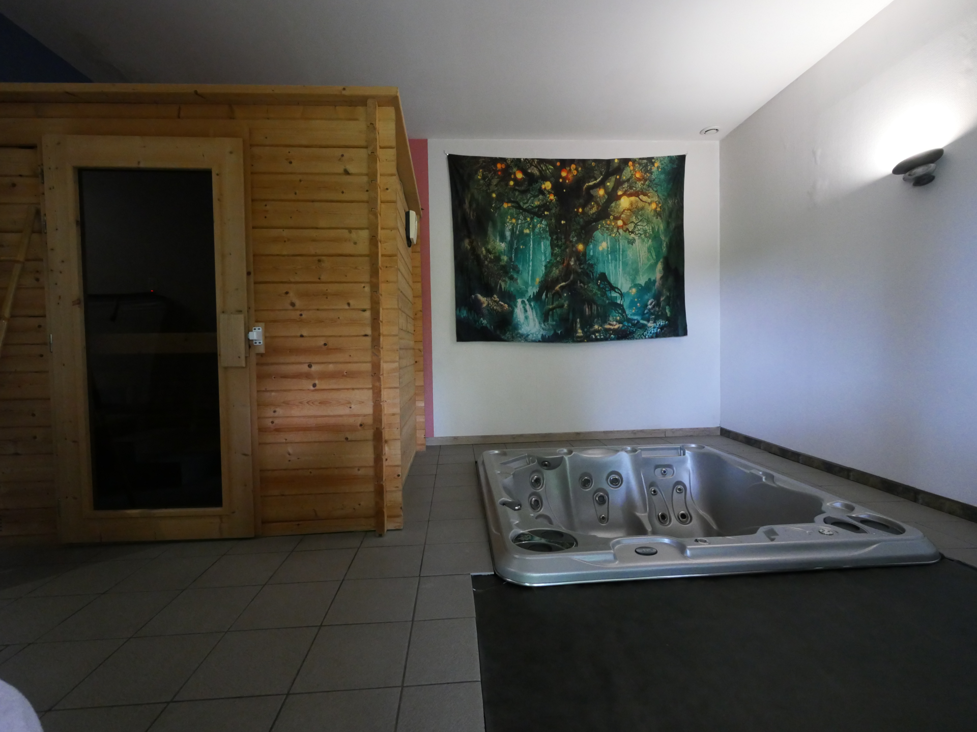 l'espace sauna/spa